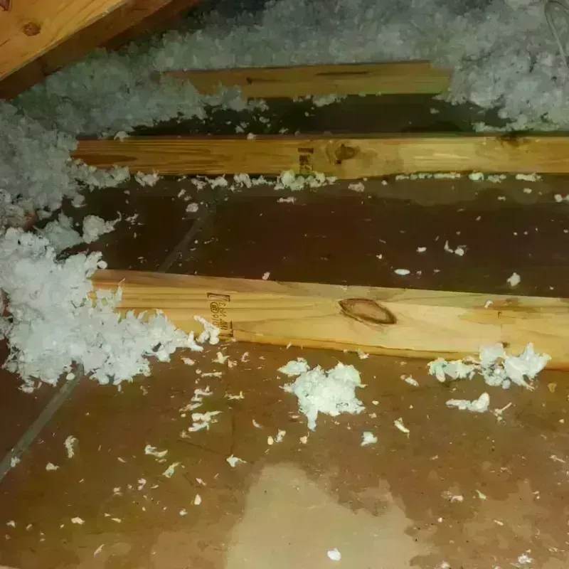 Attic Water Damage in Polkton, NC