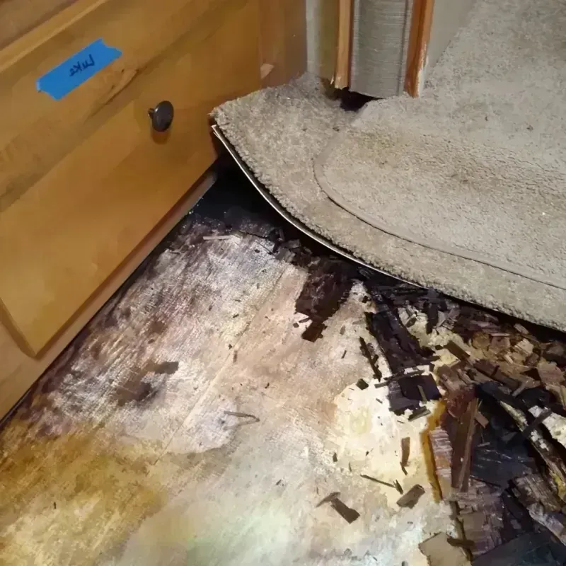 Wood Floor Water Damage in Polkton, NC